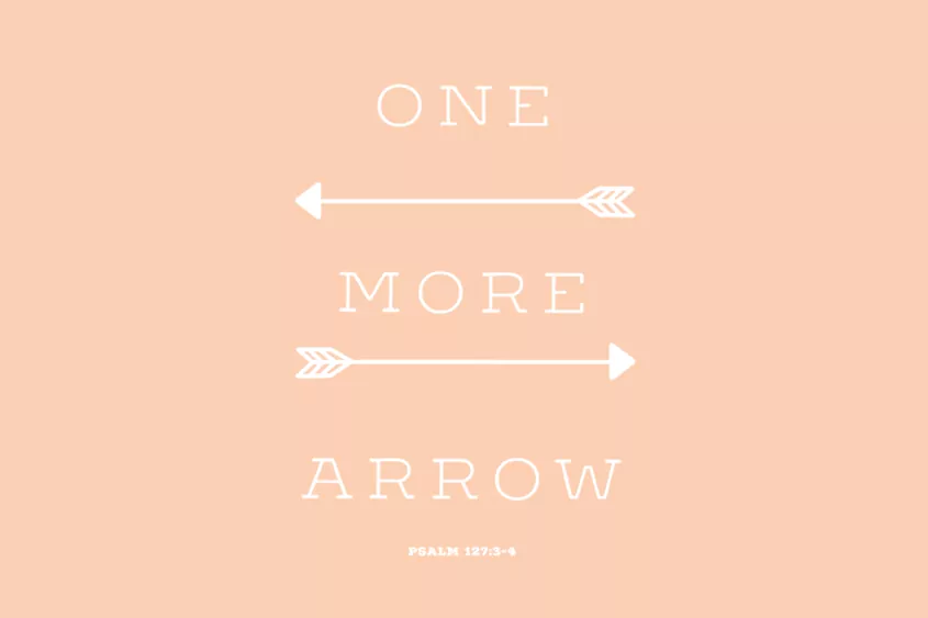 One More Arrow adoption quote