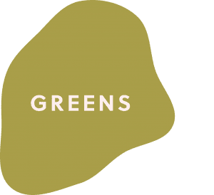 Green Fall T-Shirt Colors